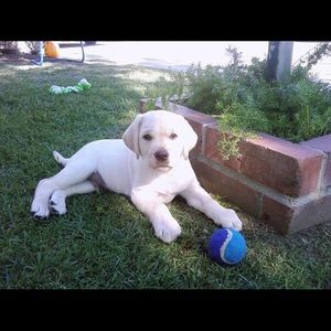 Meet your Posher, Kate